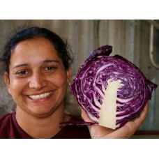  RED CABBAGE HALF (MEDIUM)  LEVIN Grown 